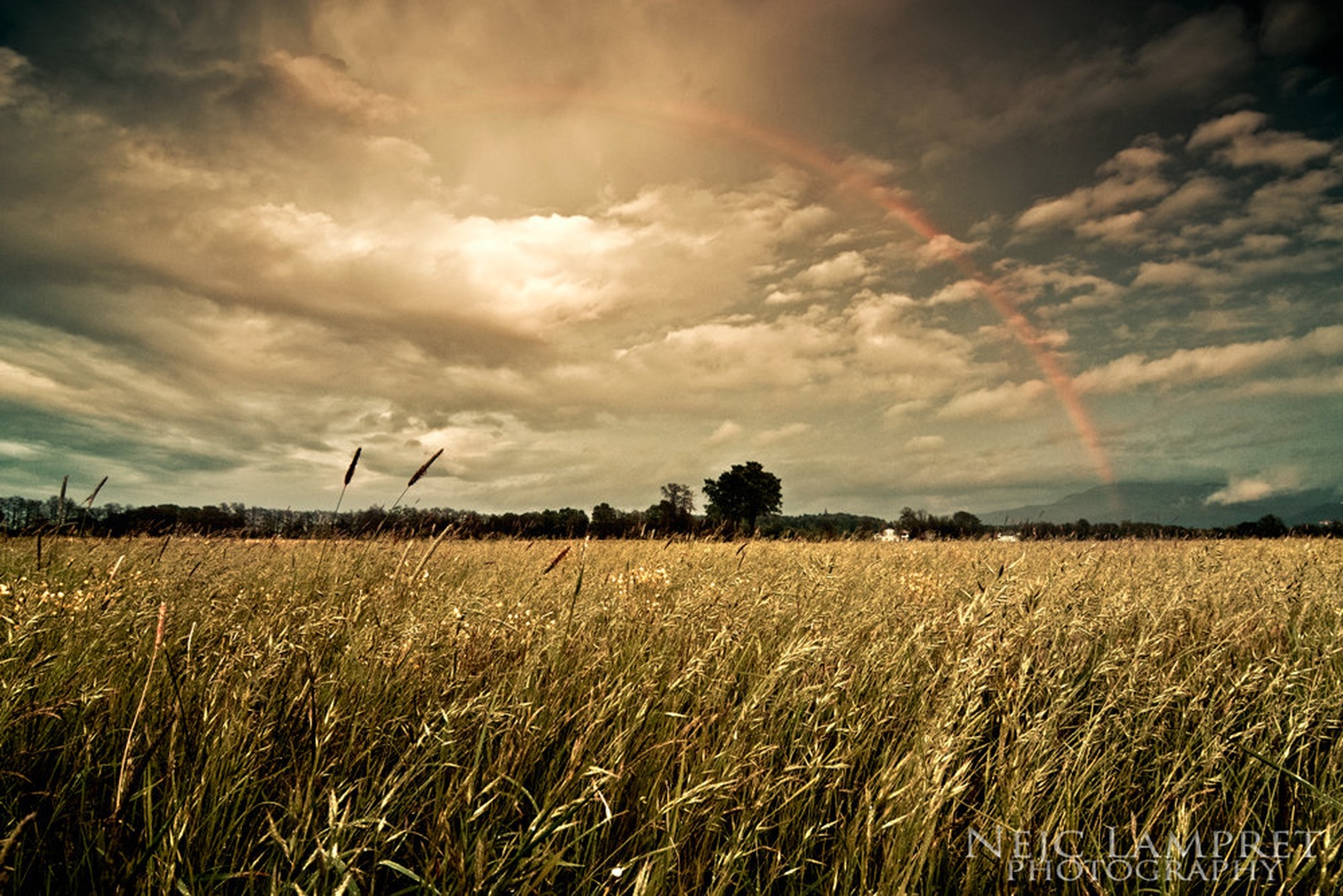 After the rain by Nejc Lampret