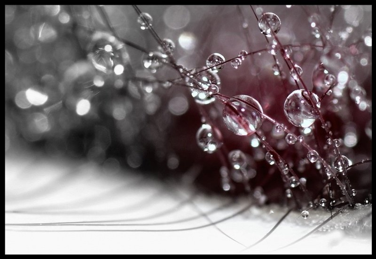 Drop by Jan Vatovec