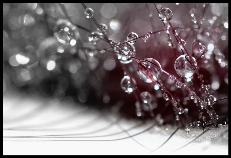 Drop by Jan Vatovec