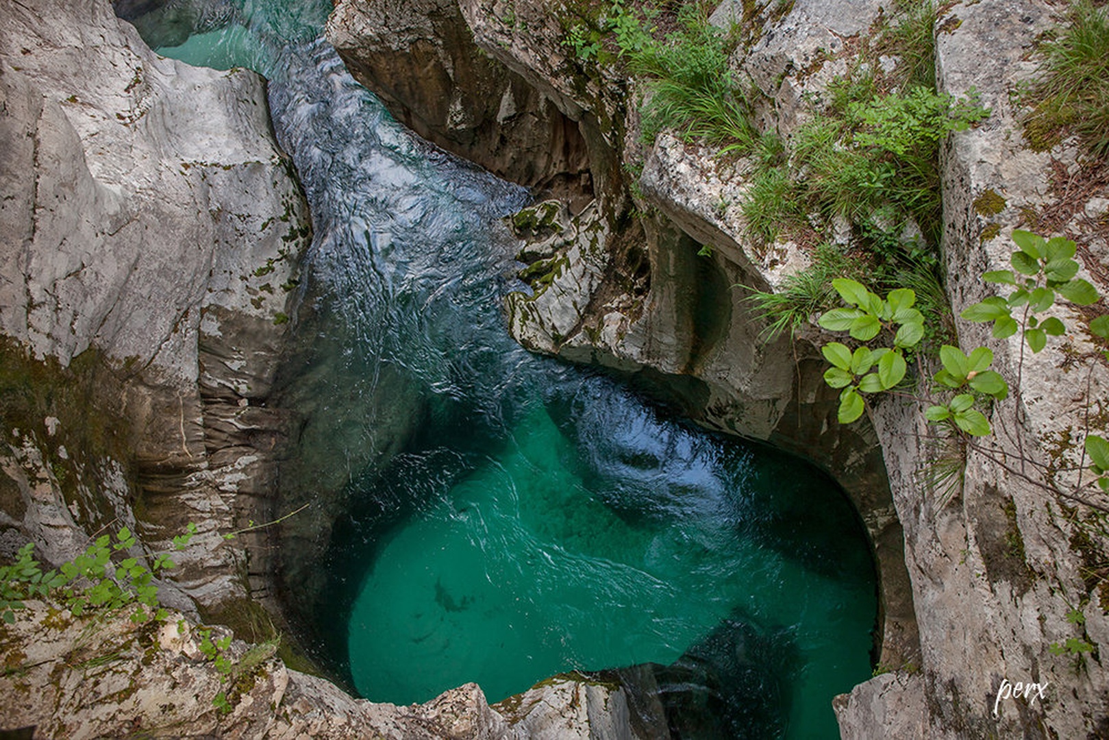 Zeleno srce by stane perko