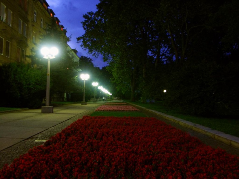 Mestni park by ROBERT ROŠIC