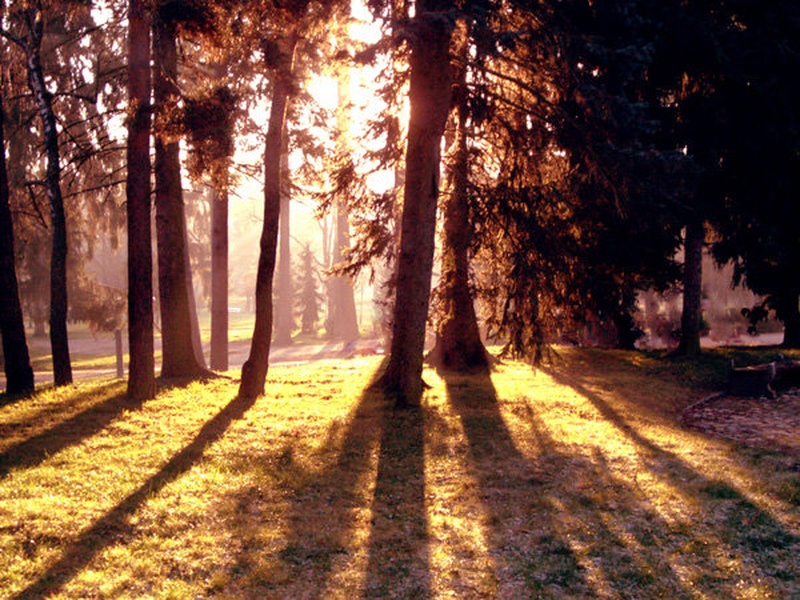 Park by Kristijan Crnica
