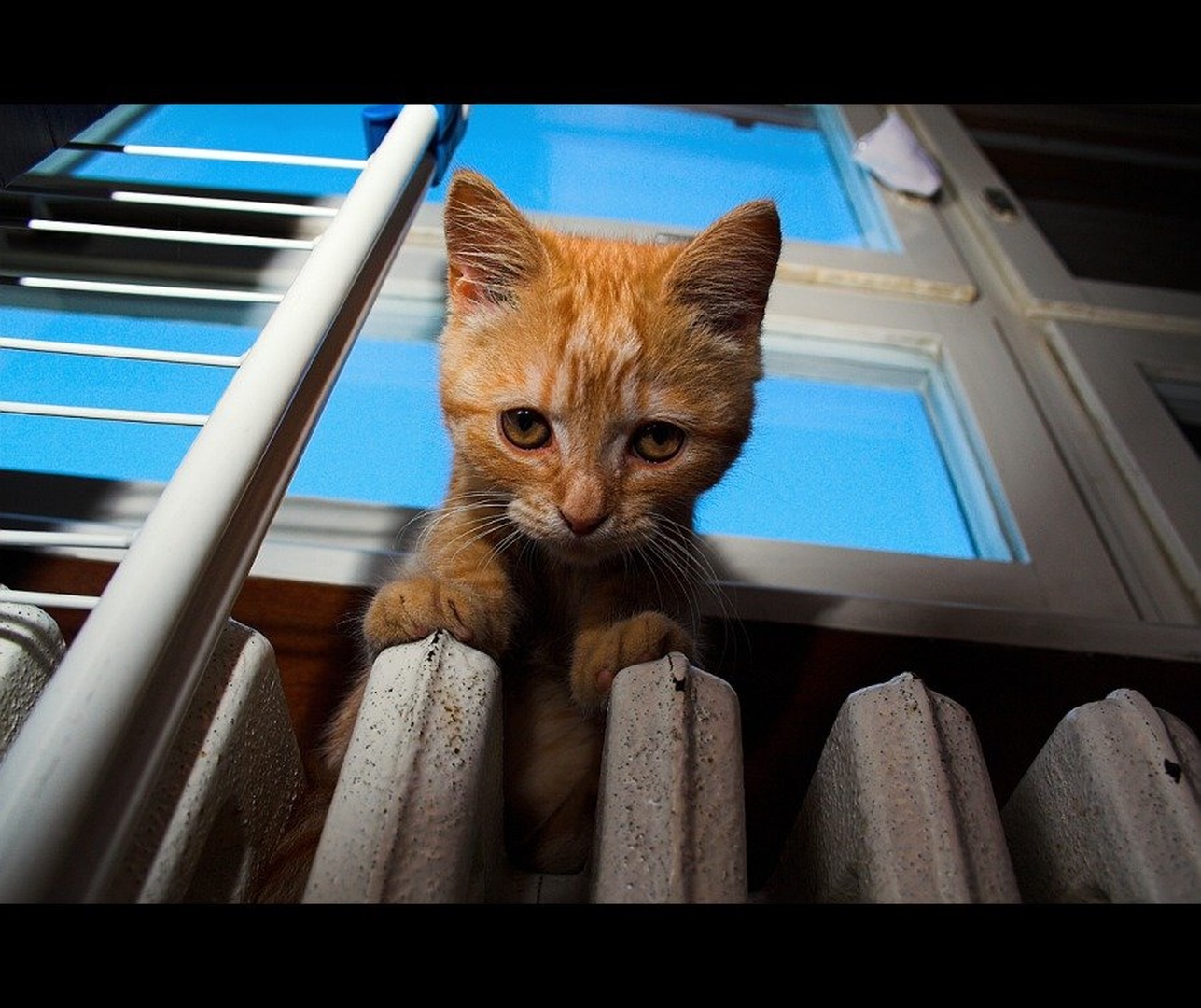 Hey you down there... by Tomislav Može