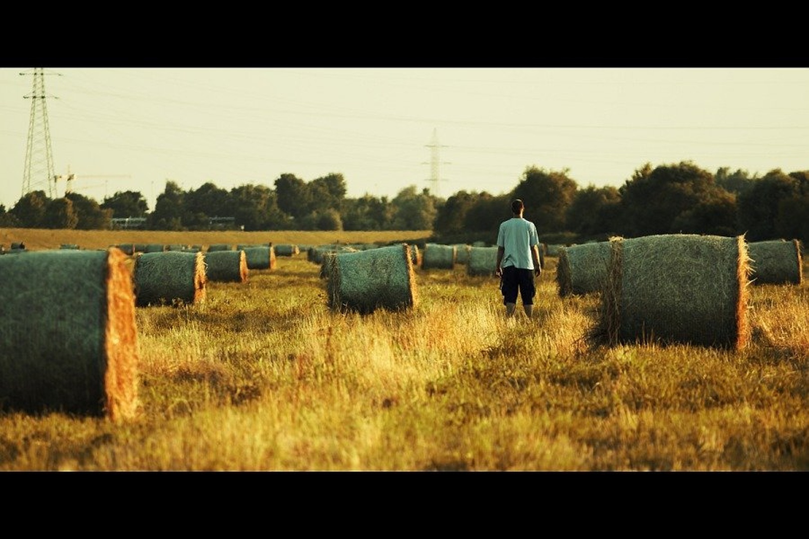 Different from the others... by Tomislav Može