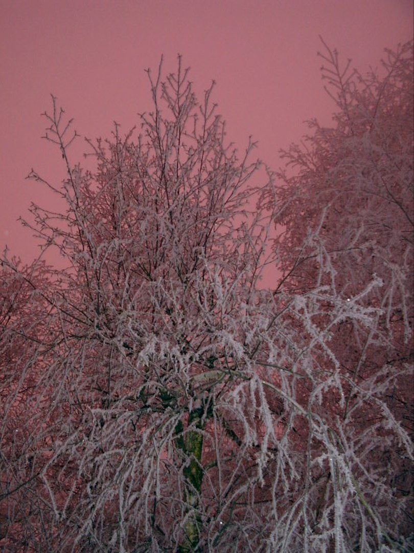 zimsko jutro by