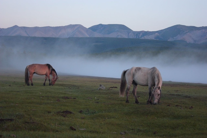 jutro  ob jezeru Huvzgul, Mongolija by Marjan Zupanc