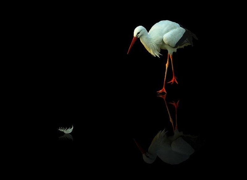 Reflection by matic štojs