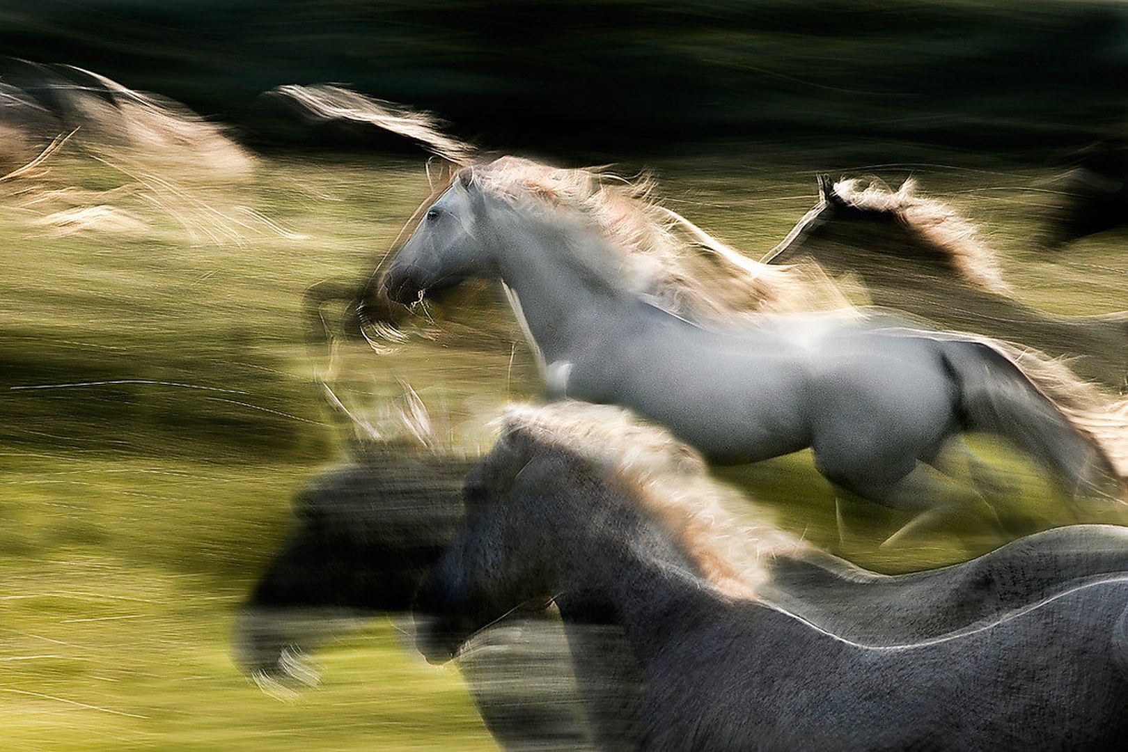 Fly by Milan Malovrh