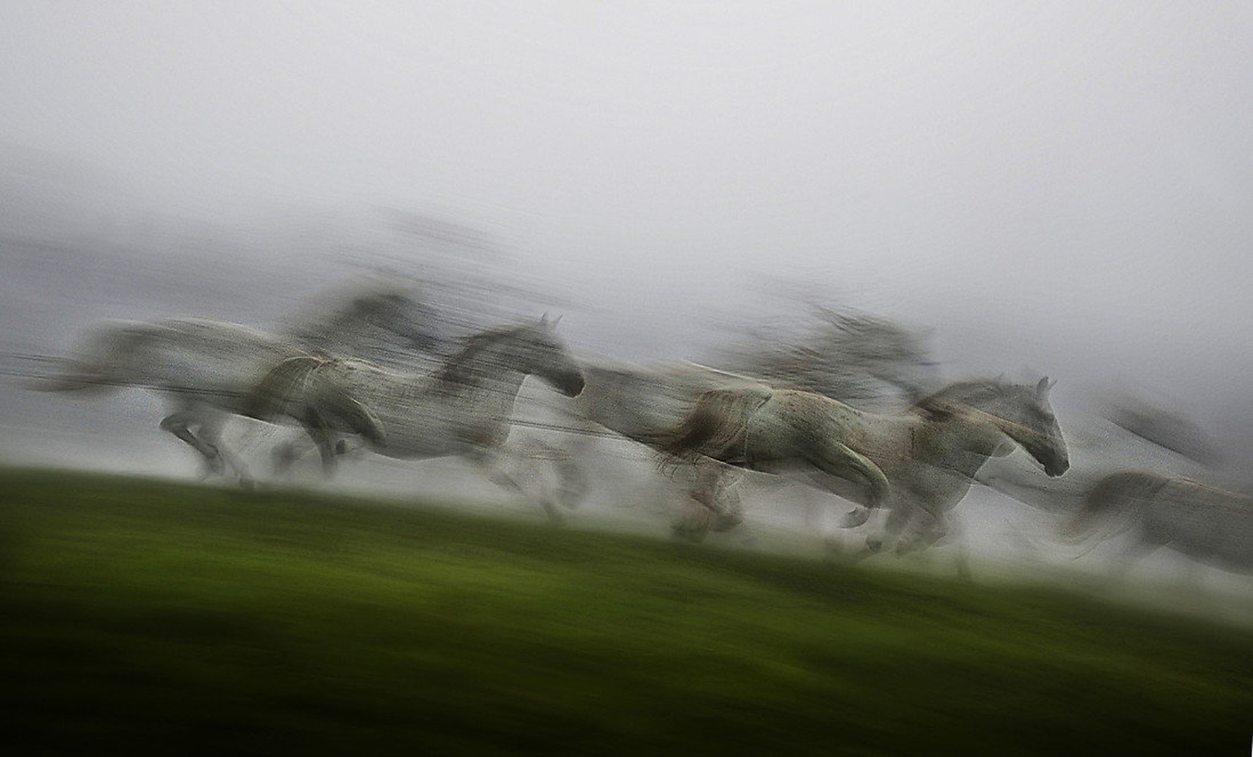 Flying by Milan Malovrh