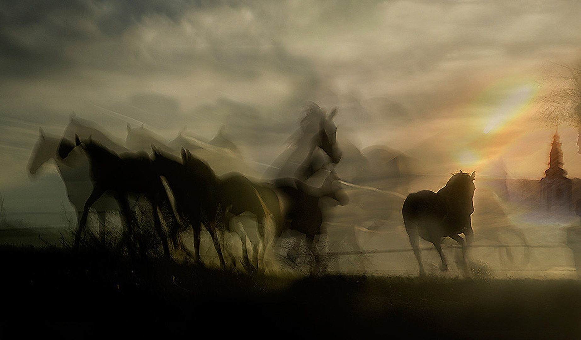 morning veil by Milan Malovrh