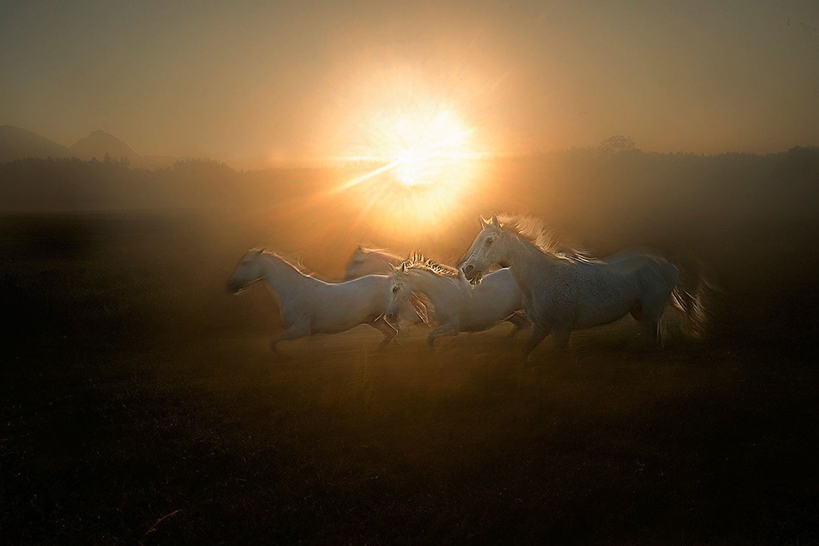 sunrise by Milan Malovrh