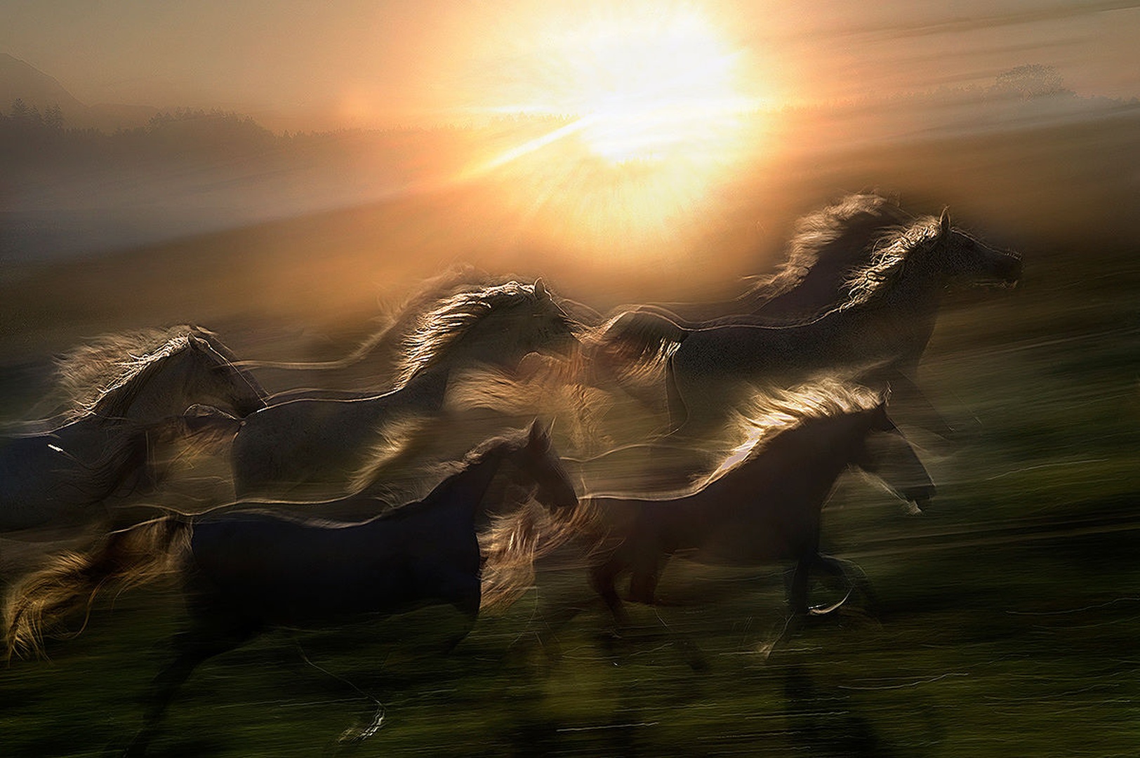 jutranji galop by Milan Malovrh