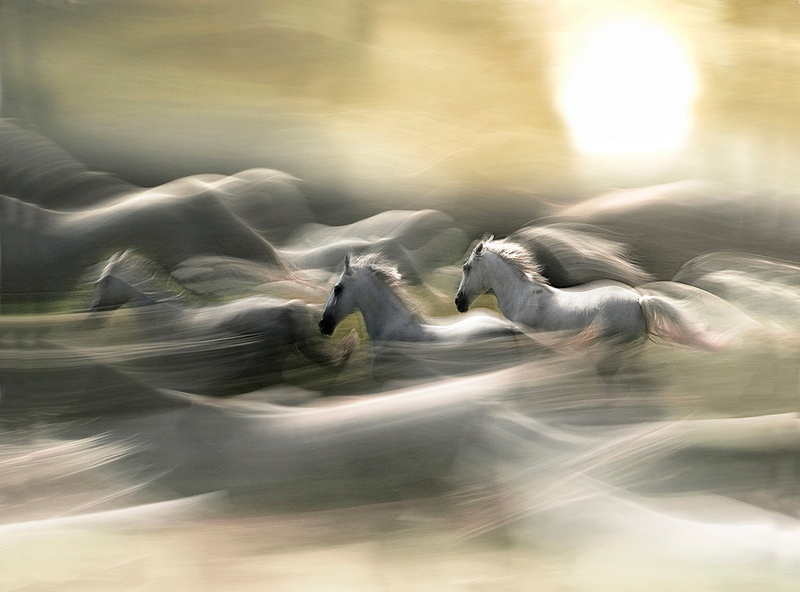 morning dream by Milan Malovrh