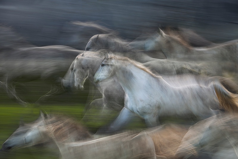 Motion by Milan Malovrh