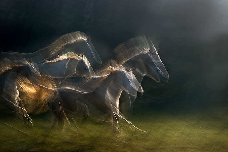 Echoing in motion by Milan Malovrh