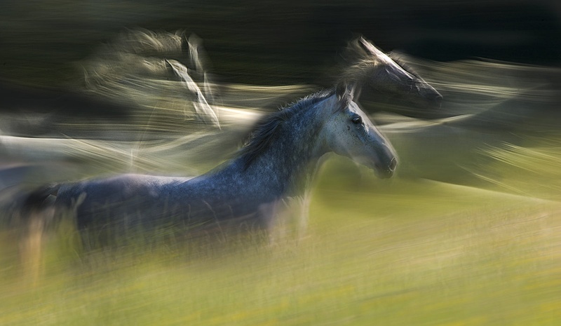 flow by Milan Malovrh