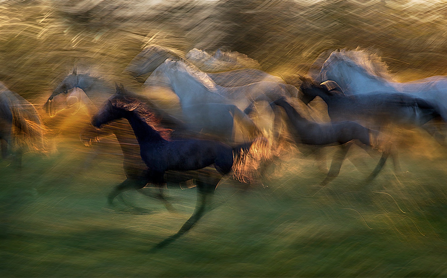 ognjeni galop by Milan Malovrh