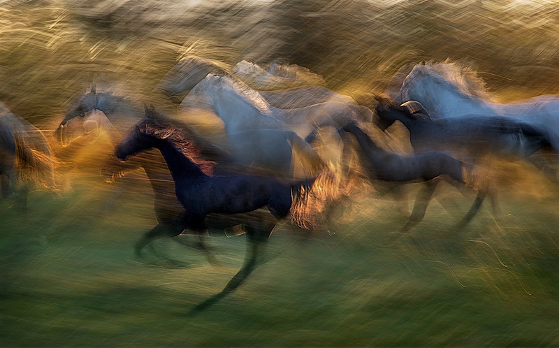 ognjeni galop by Milan Malovrh