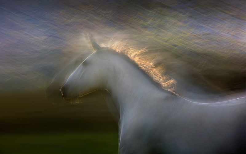Great by Milan Malovrh