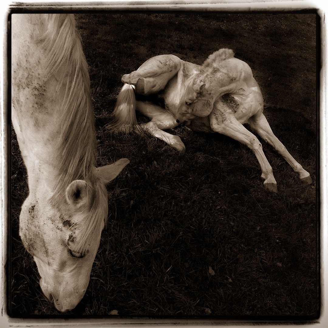 On the ground by Milan Malovrh