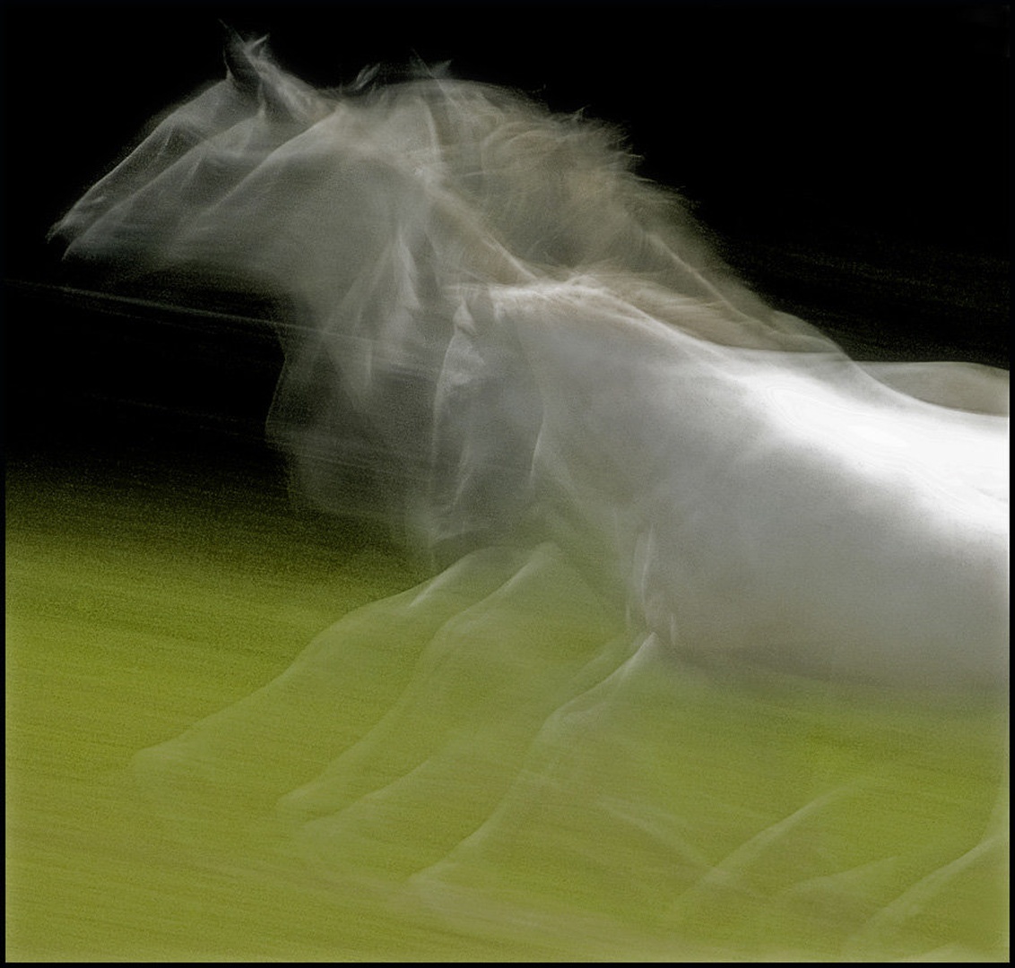 In motion 2 by Milan Malovrh