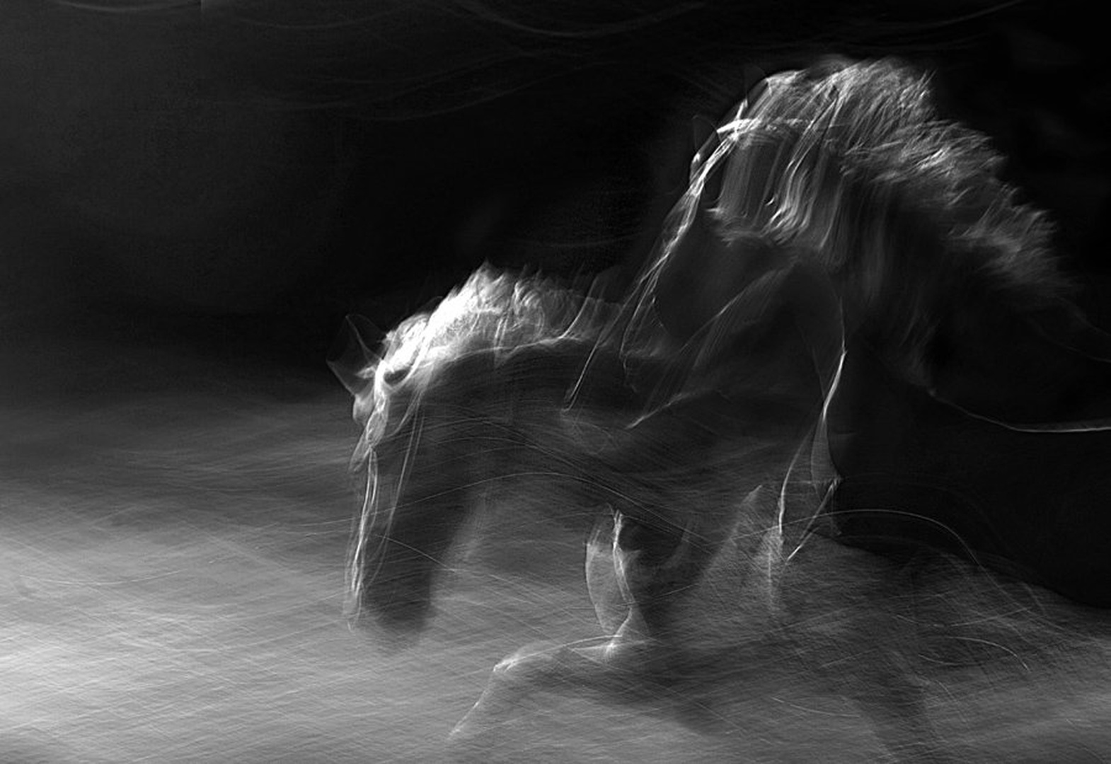Motion 4 by Milan Malovrh