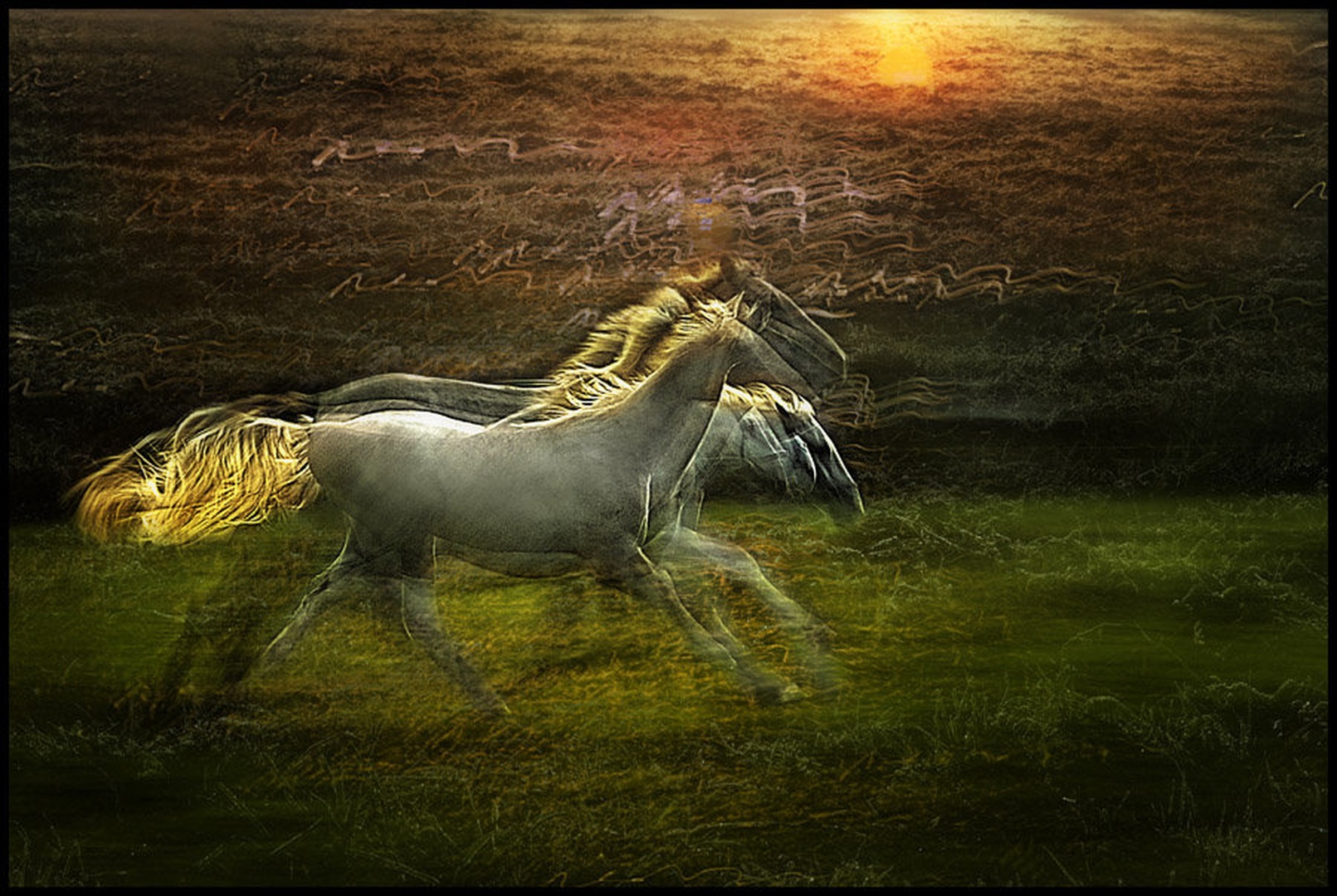 Dreamy way by Milan Malovrh