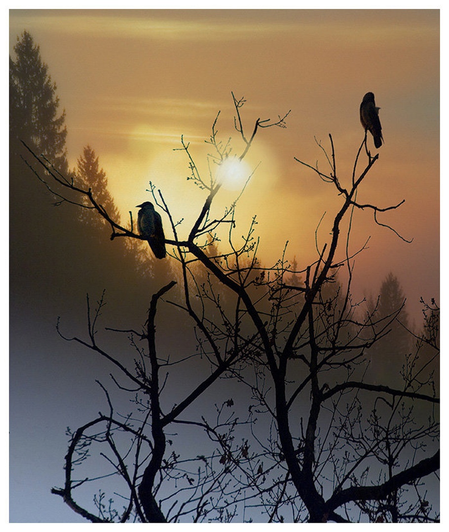Jutro by Milan Malovrh