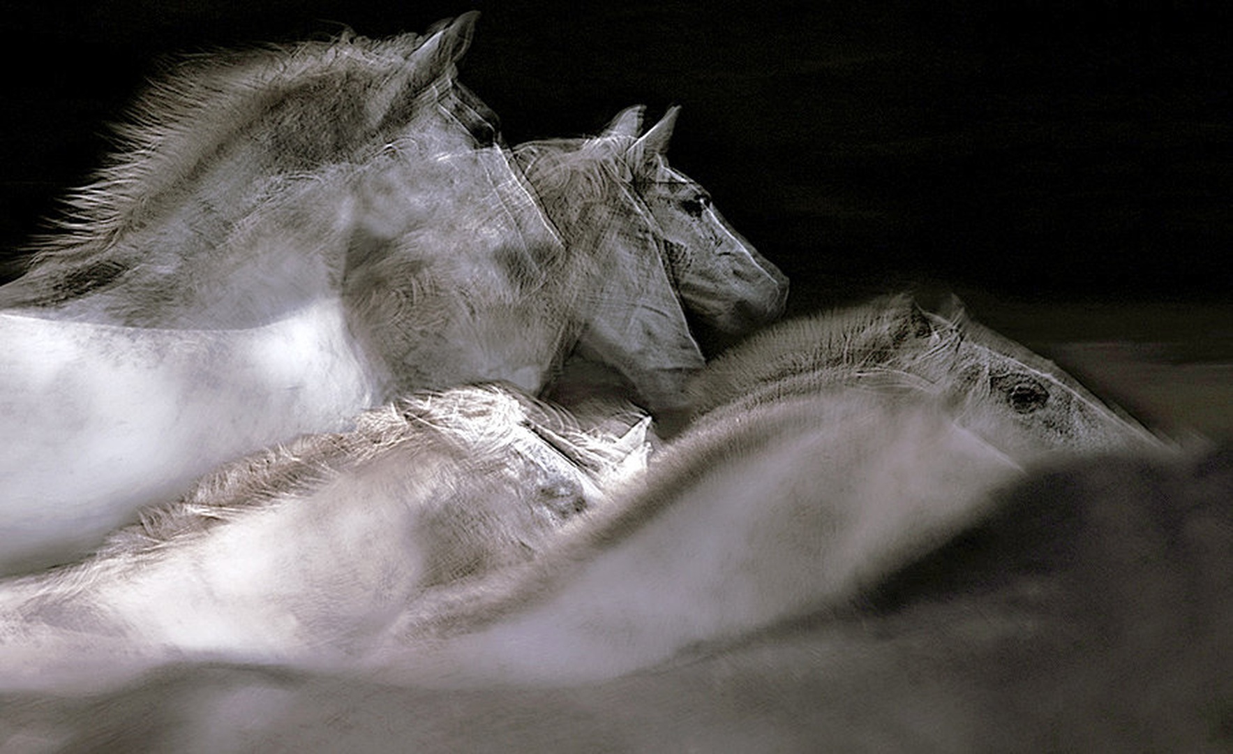 prikazni by Milan Malovrh