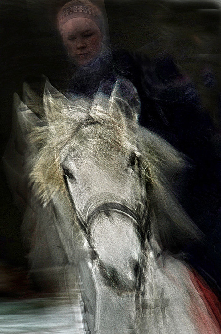 Galop by Milan Malovrh