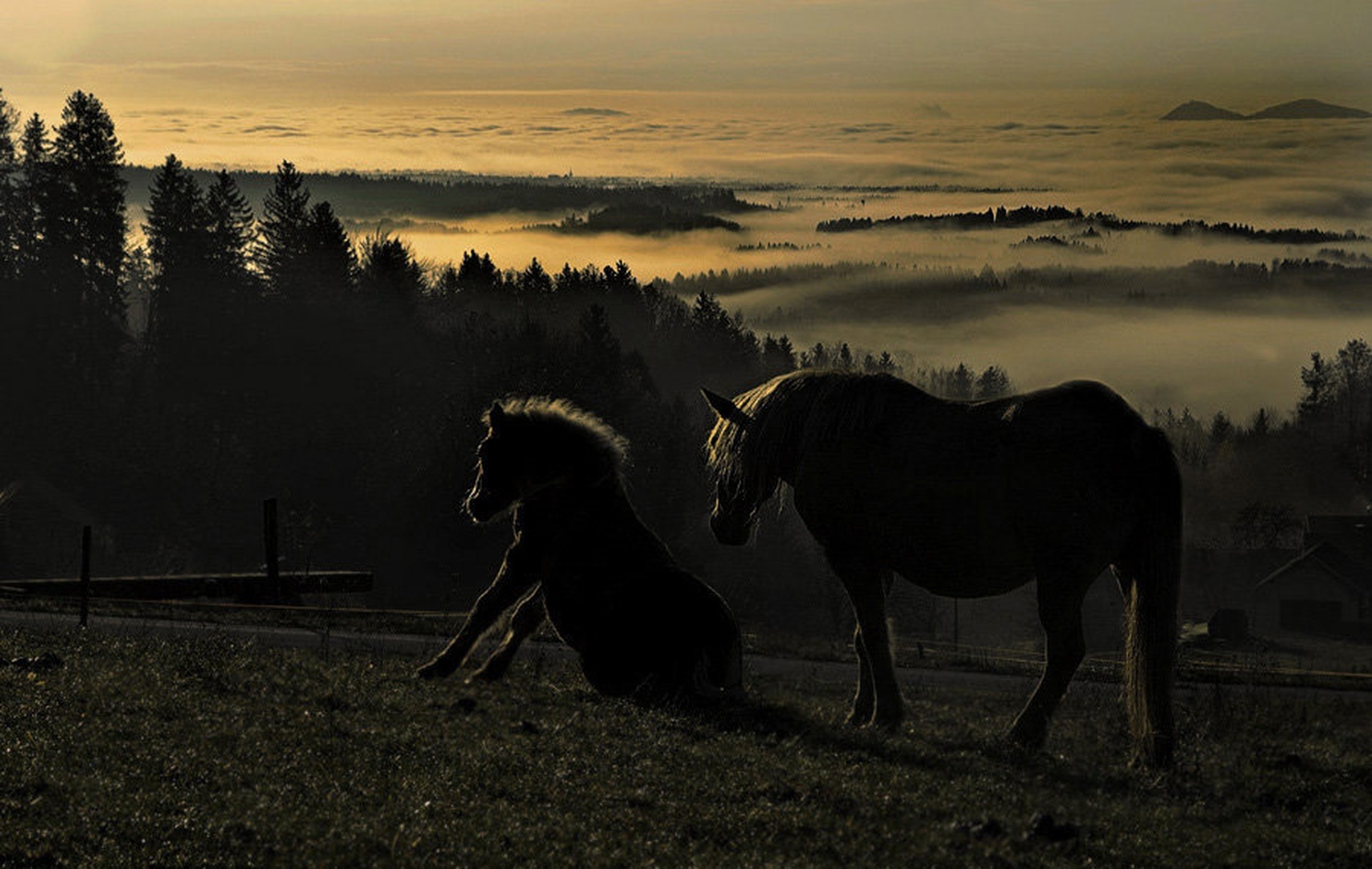 Jutro by Milan Malovrh