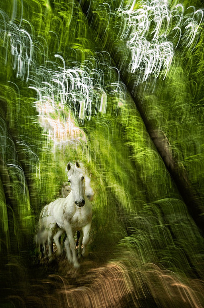 Out of eden by Milan Malovrh