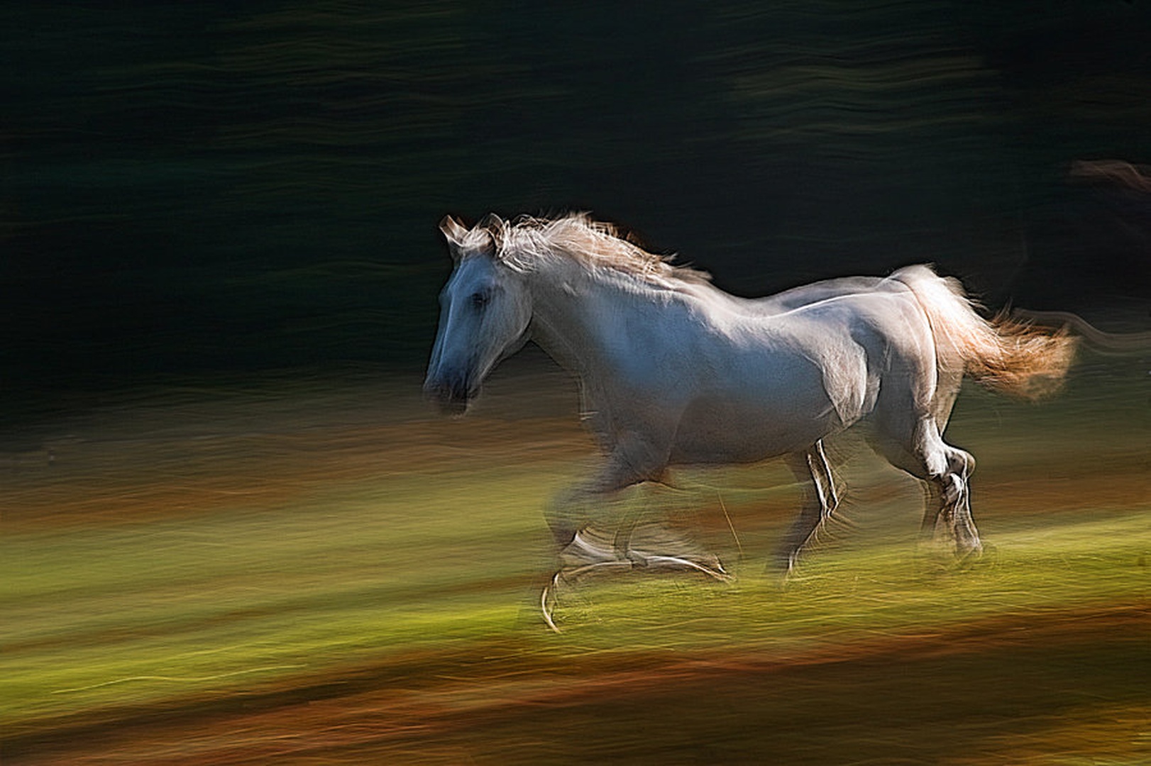 equs by Milan Malovrh