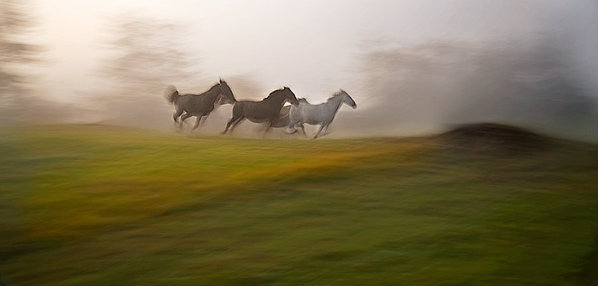 Jesenski galop by Milan Malovrh