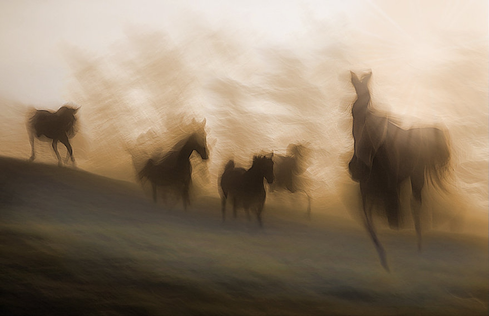 White shadows by Milan Malovrh