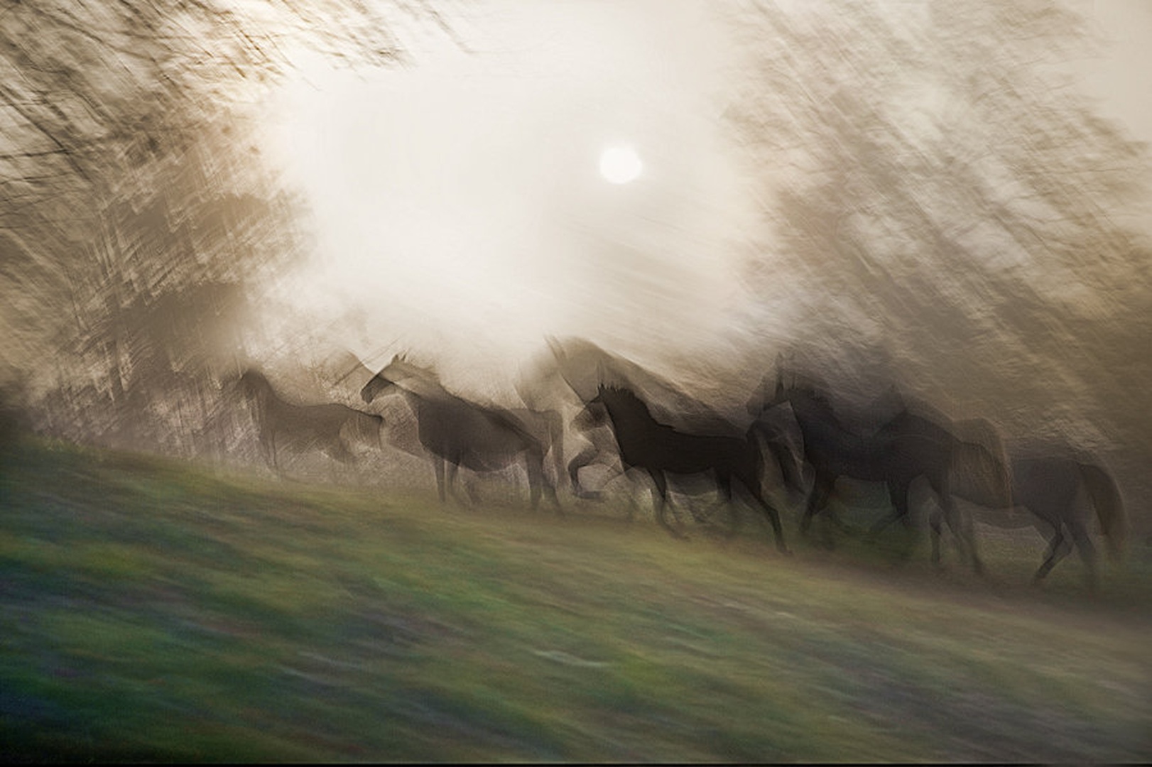 črne sence by Milan Malovrh