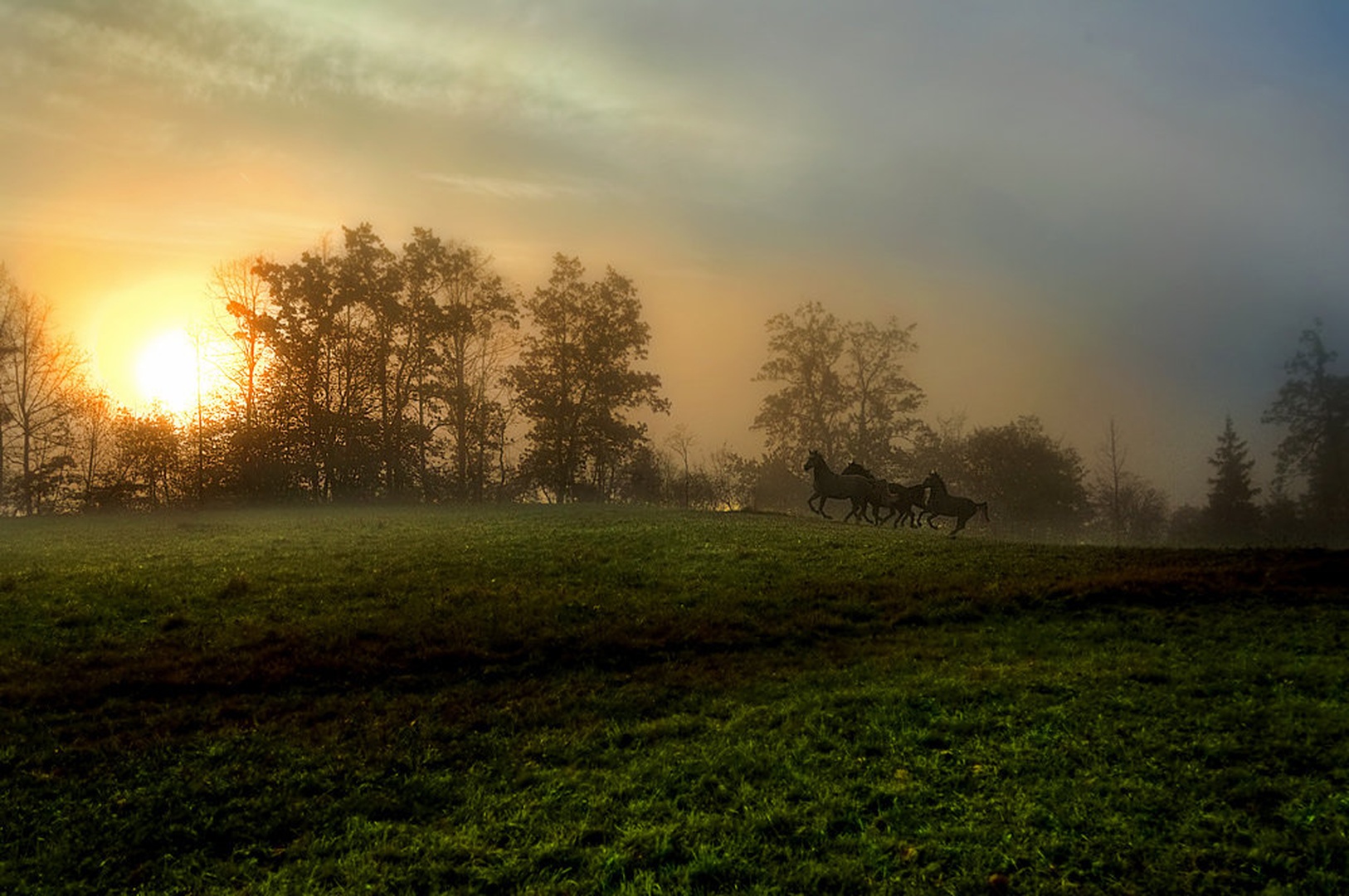 Neumorni by Milan Malovrh