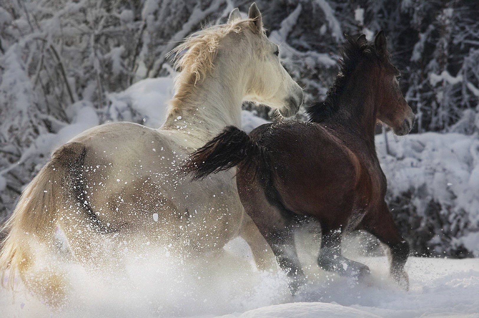 Trening by Milan Malovrh