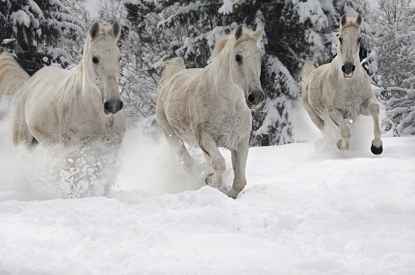 Trio by Milan Malovrh