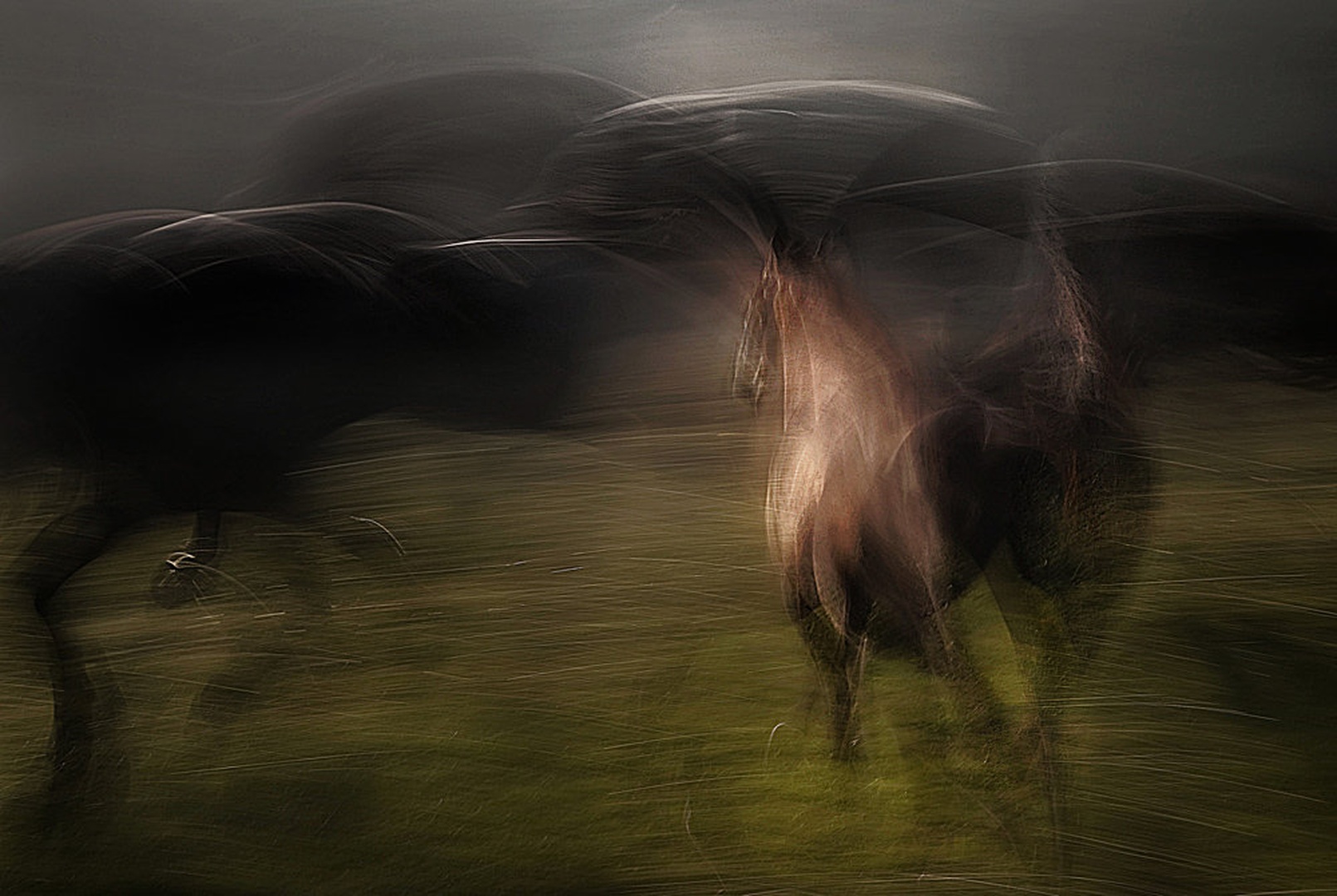 Dance by Milan Malovrh