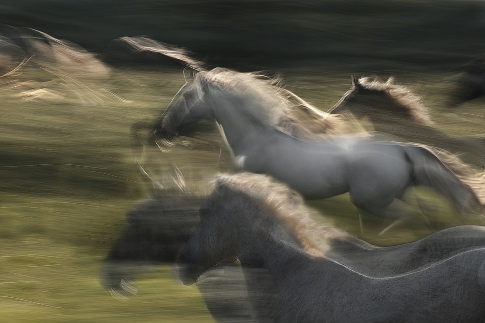 Fly by Milan Malovrh