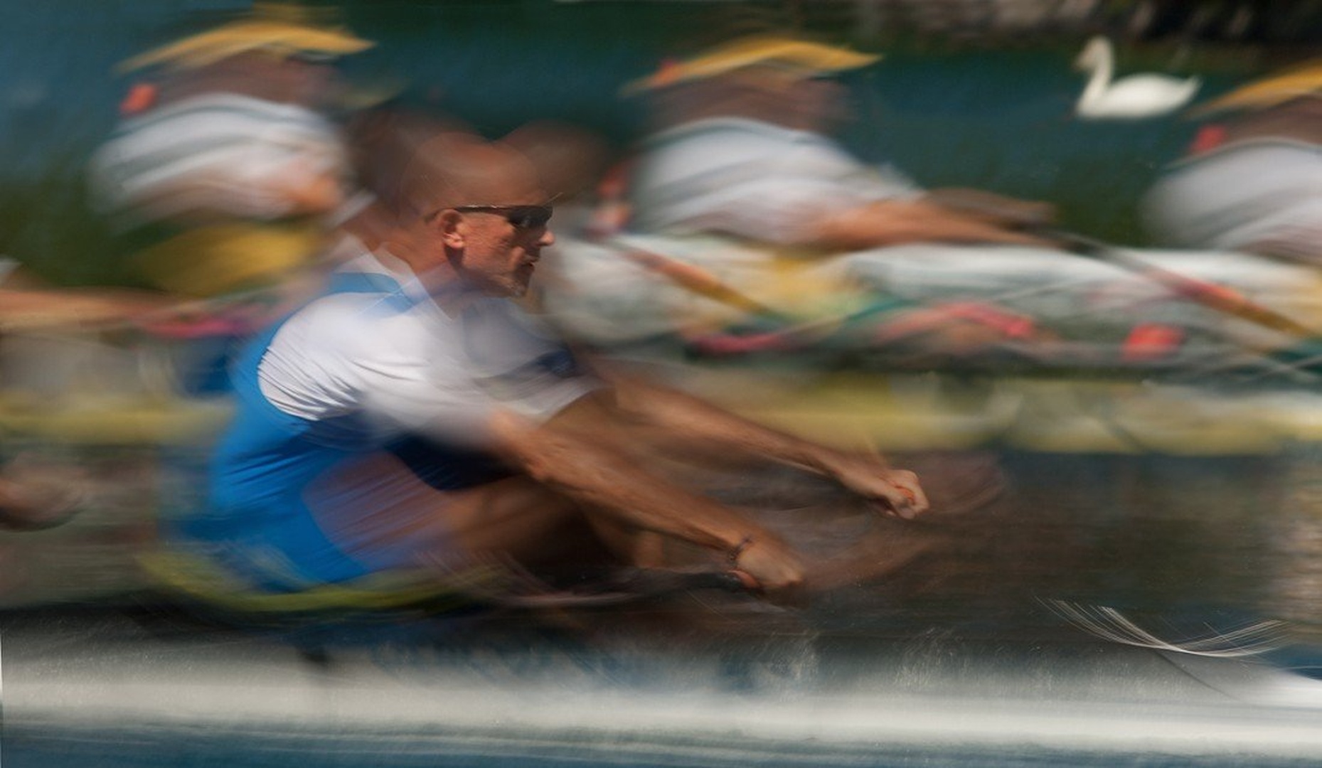 Swam race by Milan Malovrh