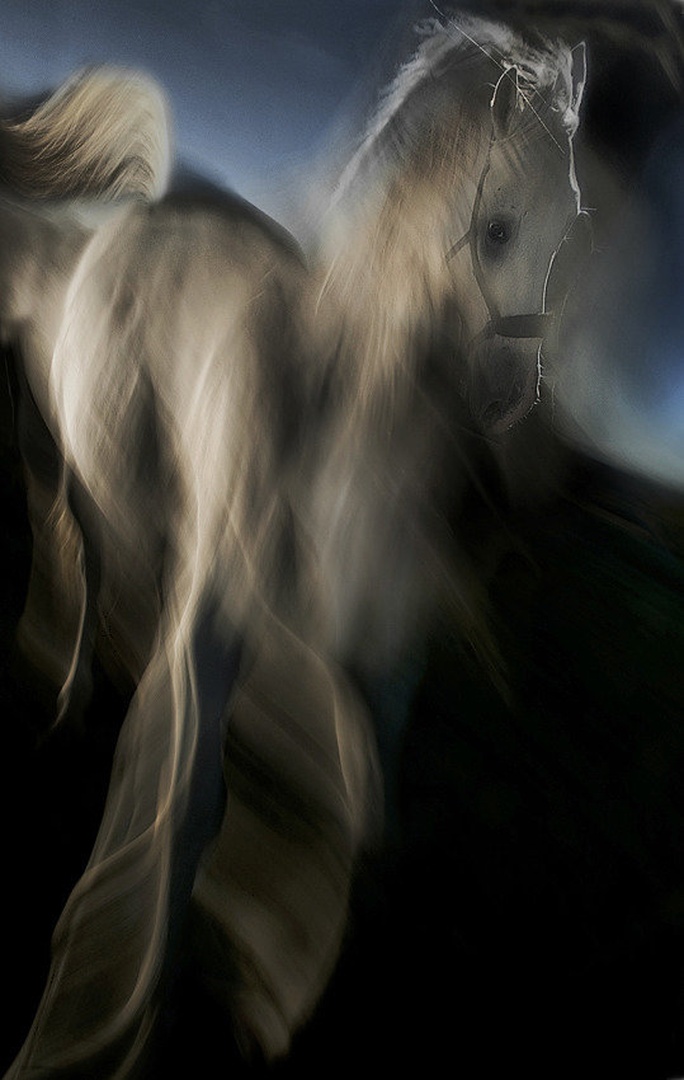 Light and shadows by Milan Malovrh