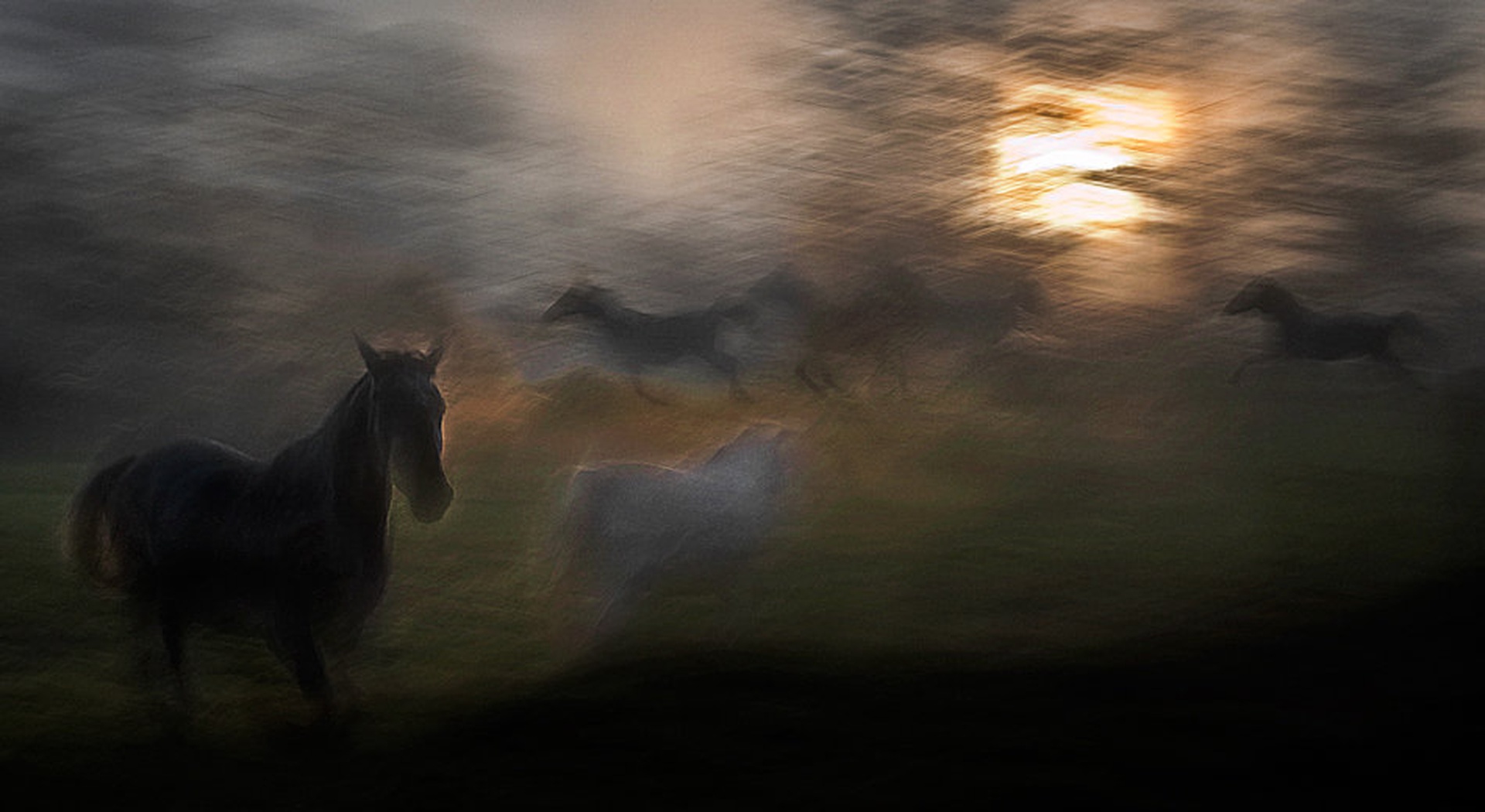 evening pastoral by Milan Malovrh