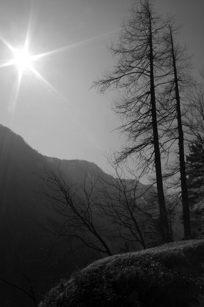 visoko by kaja