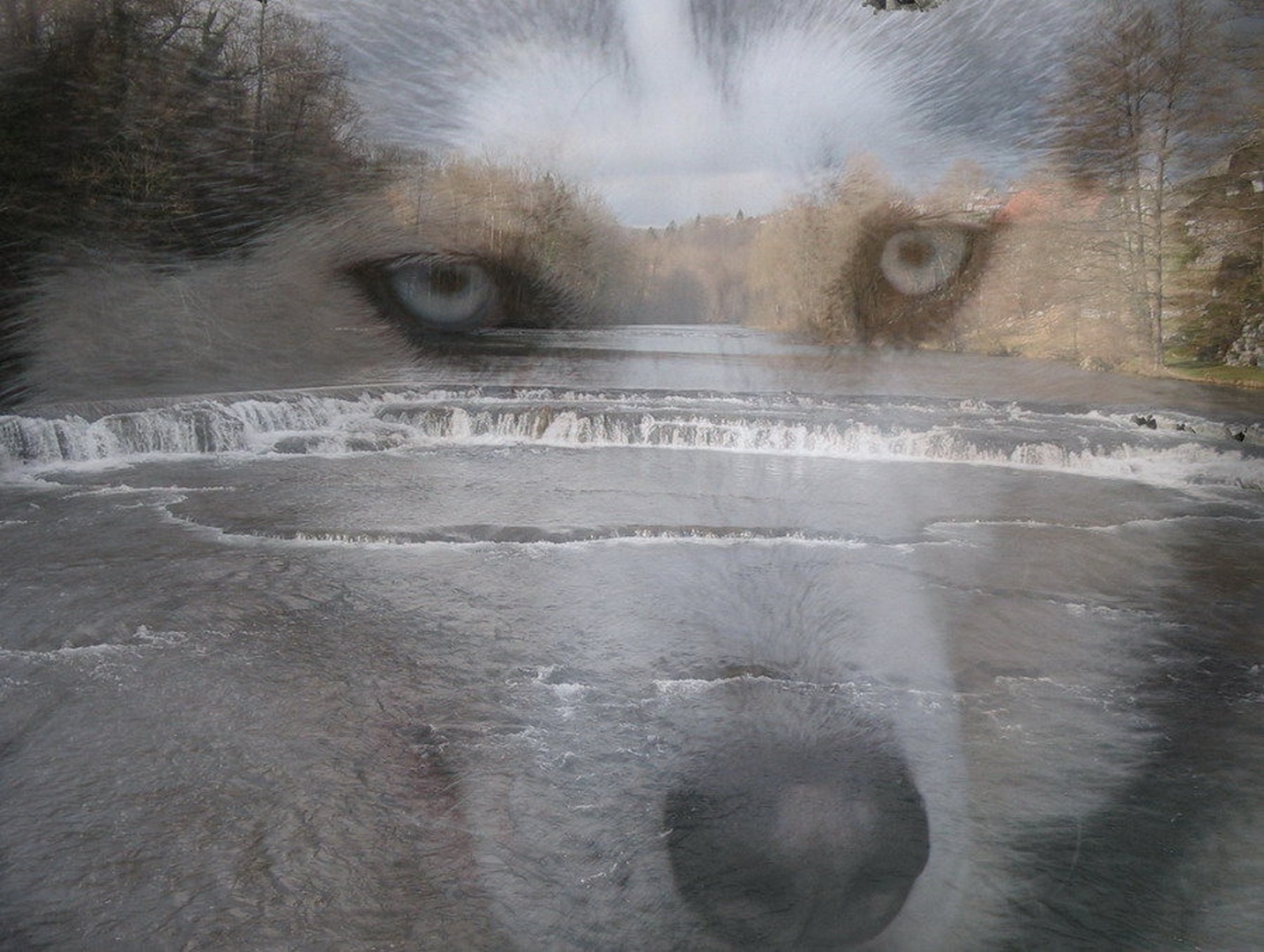 Krka&Zala by Jani