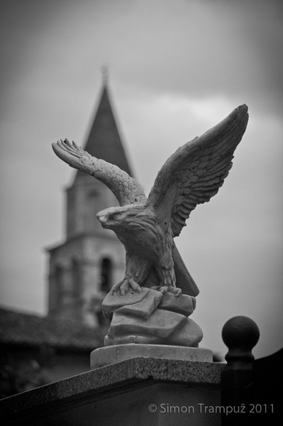 ''The guardian'' by Simon Trampuž