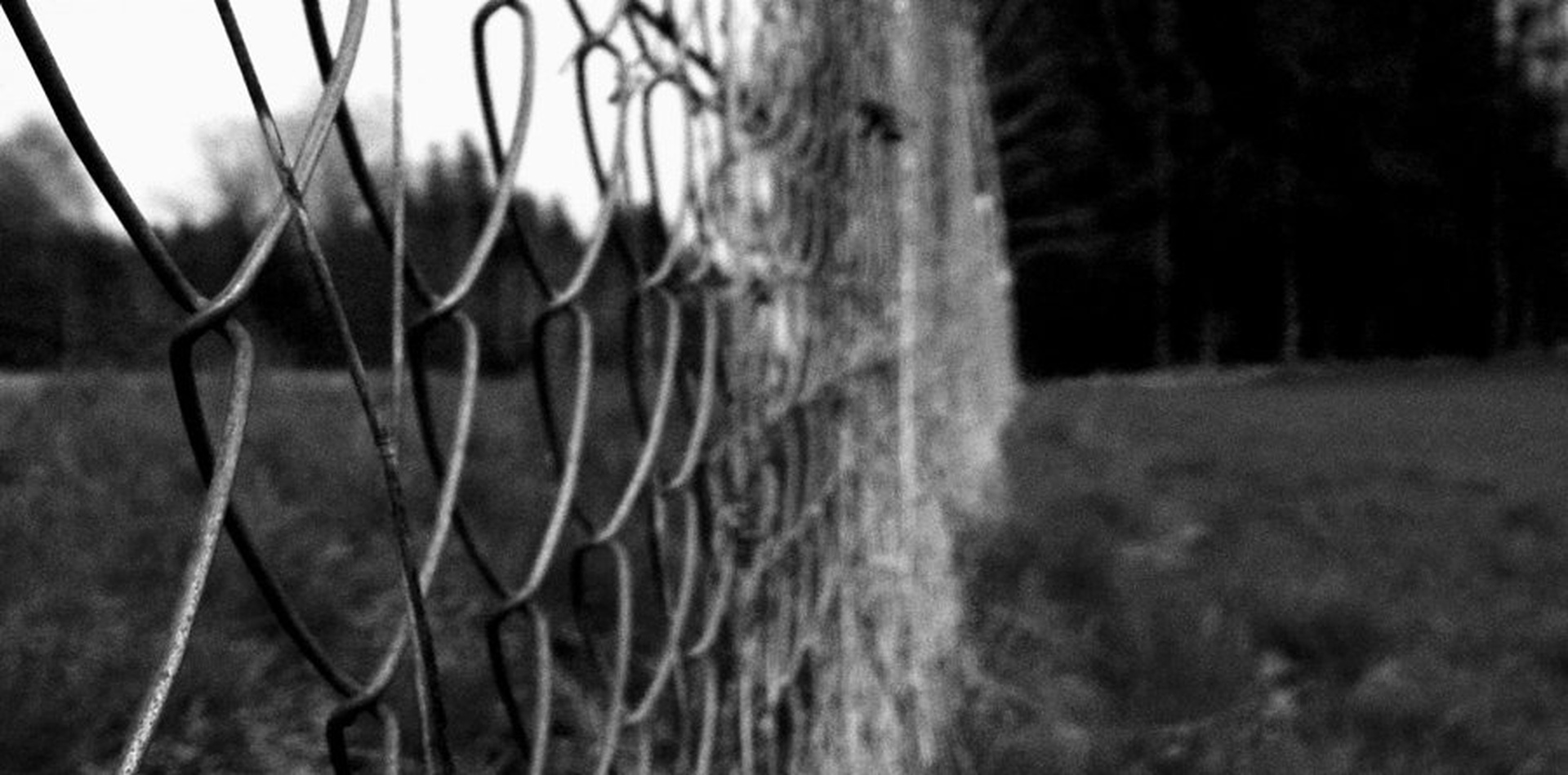 The fence by Matej