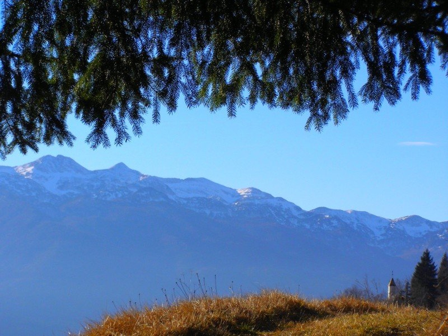 view by Sara Hribar