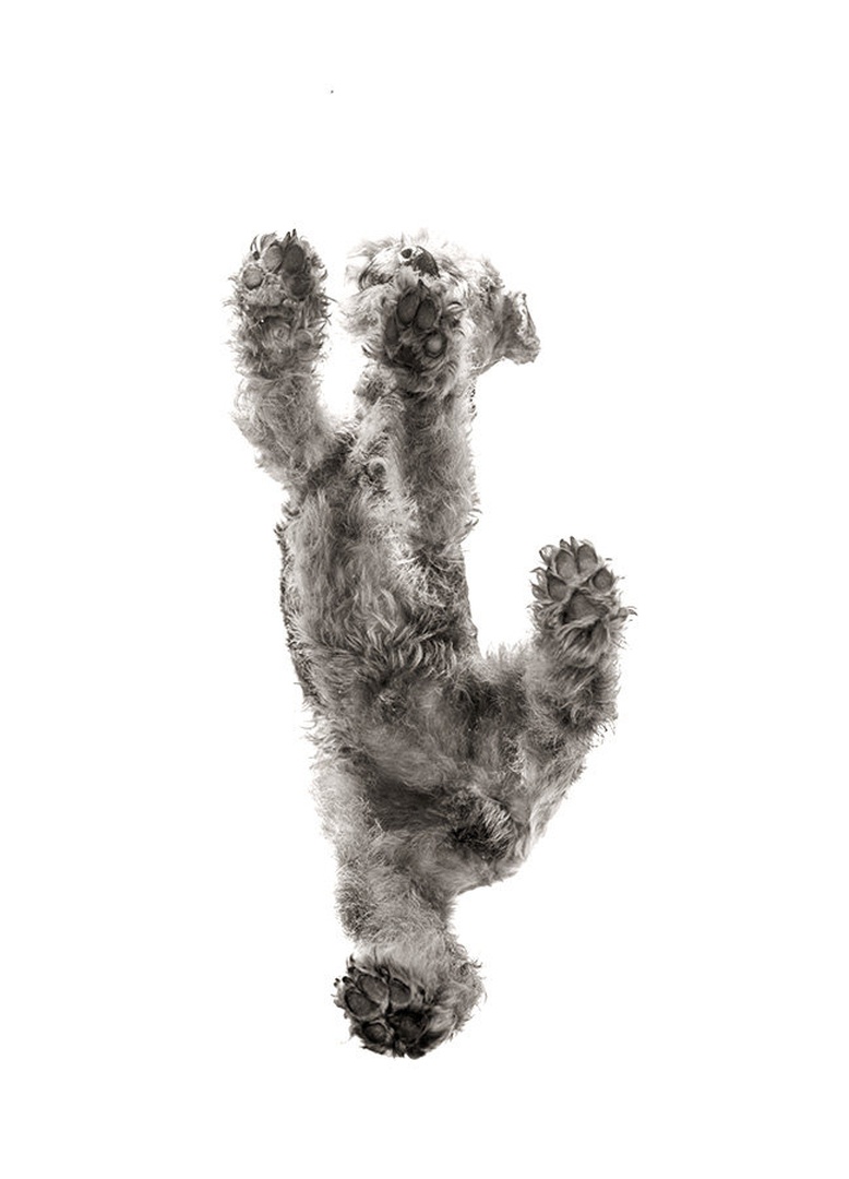 Scan_0023.jpg @ 1/20th dog per inch by Jernej Lasič
